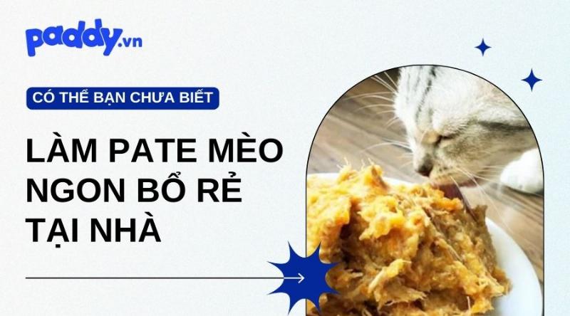 Hướng dẫn cách bảo quản pate ức gà tự làm cho mèo trong ngăn mát tủ lạnh để giữ độ tươi ngon